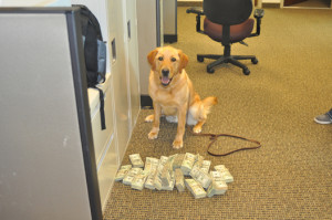 K9 Boomer cash seized, St Louis MO, DEA attachment