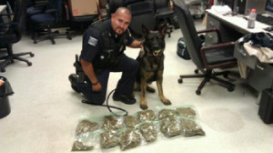 K9 Dutch - Gary PD marijuana find